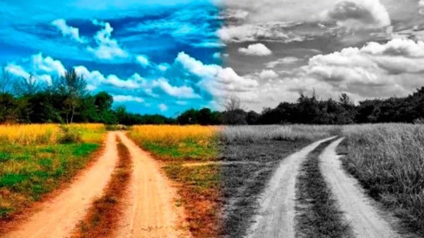 Изображение к статье: Как повысить уровень энергии и привлечь хорошие события