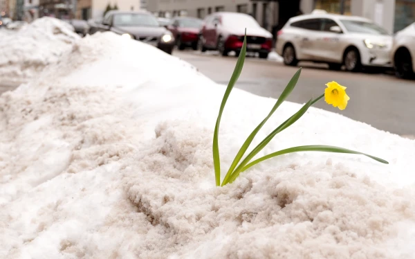 Изображение к статье: Воскресенье будет облачным, на западе страны возможны редкие прояснения
