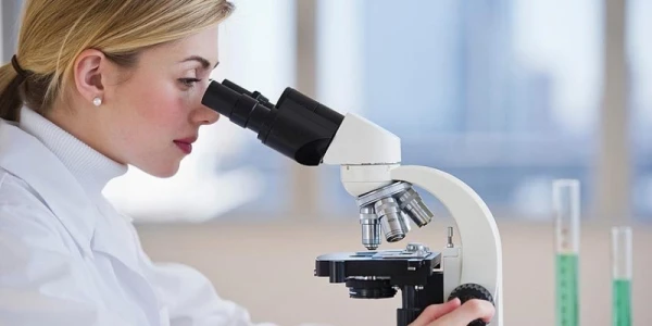 Учёные пришли к выводу, что подвижность сперматозоидов зависит от времени года