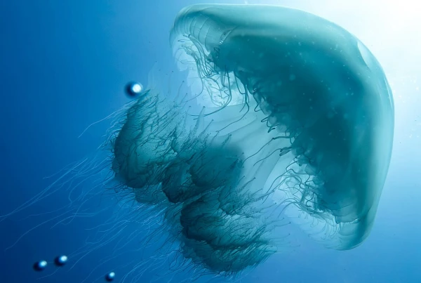 Изображение к статье: Это существо вызывает серьезные ожоги.