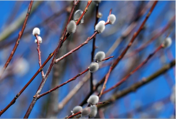 Синоптики дали прогноз погоды на четверг в Латвии