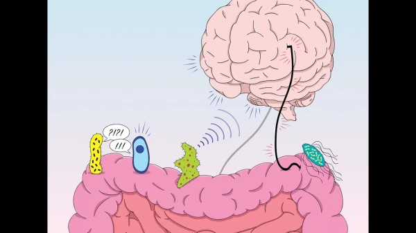 Изображение к статье: Кишечные бактерии и аппетит: почему иногда мы едим не по своей воле