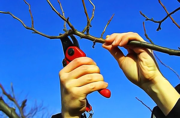 Изображение к статье: Март на даче: какие работы важно успеть сделать в начале весны