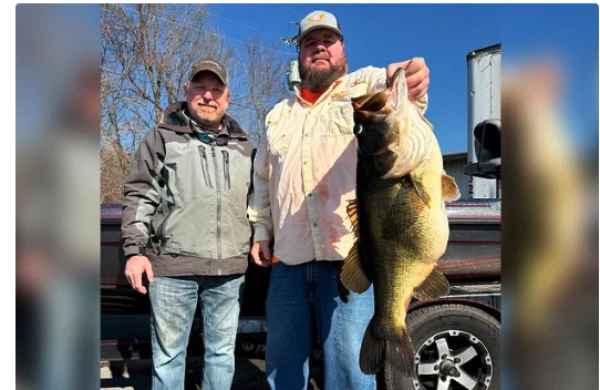 Изображение к статье: Фото: Hensley Powel