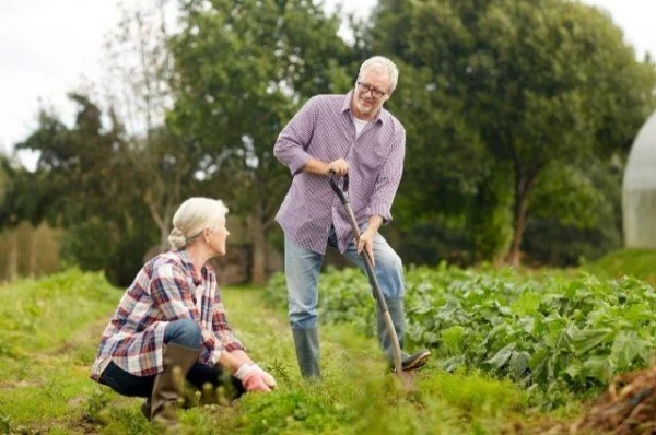 Эксперт выделил хобби, способствующее долголетию
