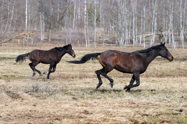 9 марта готовимся к погодному рекорду
