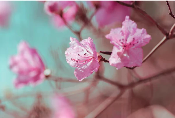 Синоптики огласили погоду на вторник в Латвии