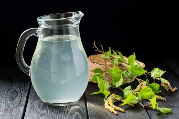 Как правильно хранить берёзовый сок?