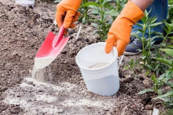 Каково назначение известкования почвы?