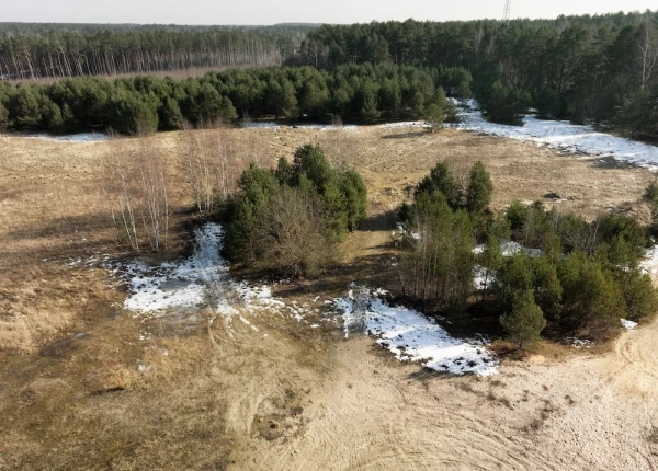 Изображение к статье: Вторник будет солнечным и тёплым