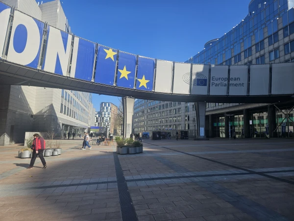 Понаехали тут! Вместо убежища - тюрьма