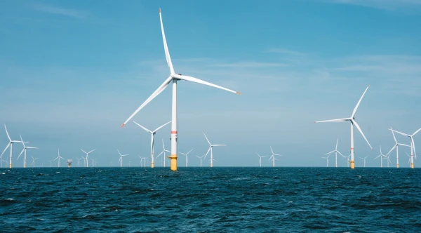 Против ветра: почему жители Латвии выступают против дармового электричества