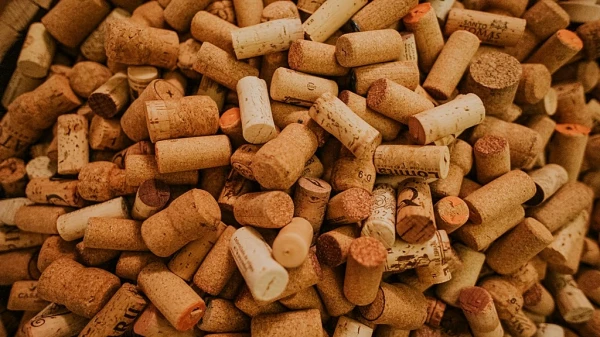 Португальцы что-то подозревают: многократно вырос их экспорт в Киргизию