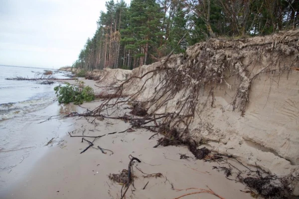 Изображение к статье: Хорошая новость и плохая - метеоролог о погоде в Латвии весной и летом