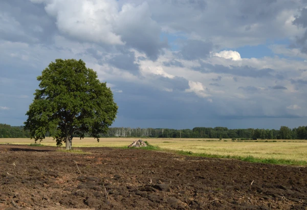 Из-за конфликта на Ближнем Востоке в Латвии могут вырасти цены на удобрения и продукты питания