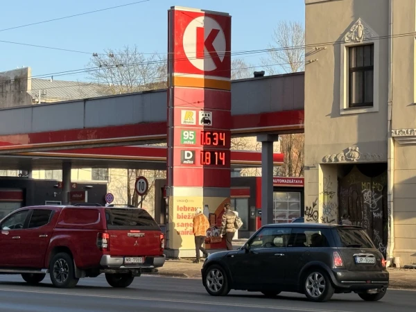 Бензин на заправках не закончится: МЭА отправит на рынки крупнейшую в истории партию нефти