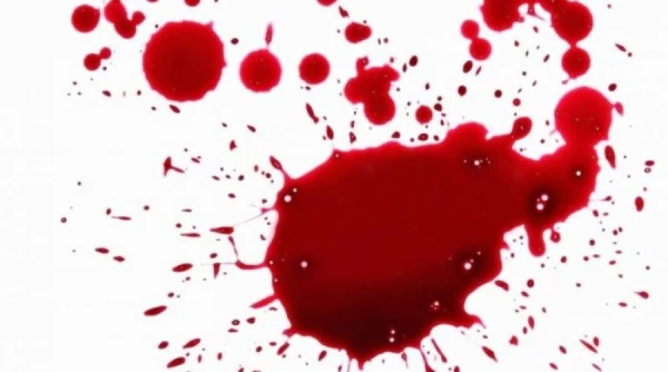 Изображение к статье: Мужчина расправился с бывшим начальником в уличной драке