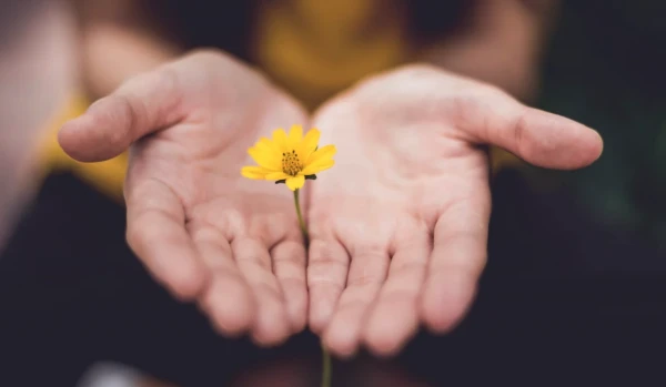 Изображение к статье: Назван неочевидный способ уменьшить боль при менструации