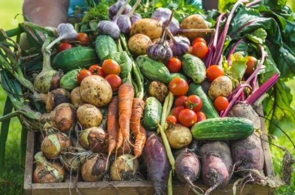 Не обязательно копать. Топ-5 культур для «ленивого» огорода