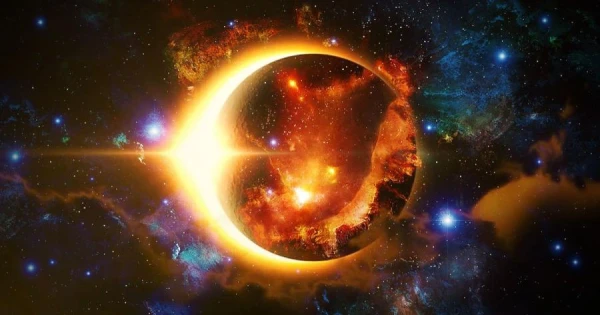 Изображение к статье: Реакция собак и кошек на солнечное затмение