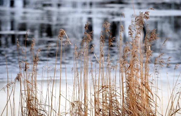 Изображение к статье: Синоптики дали прогноз погоды на воскресенье в Латвии