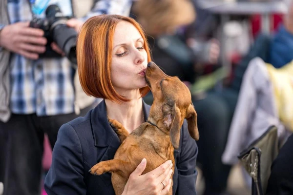 Собака как средство борьбы со стрессом: учёные исследуют влияние общения с питомцем на мозг человека