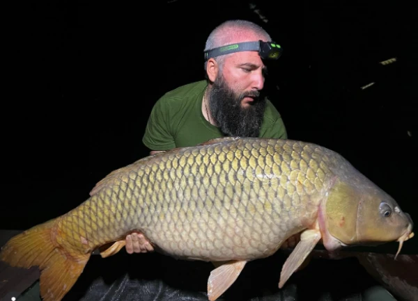 Изображение к статье: Чудесная рыба нашего спасения.