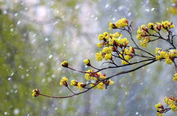 Десятый день подряд (и последний) в Латвии фиксируются температурные рекорды