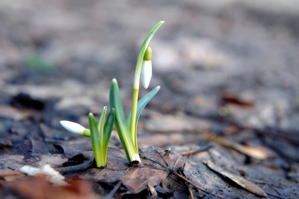 Изображение к статье: В Латвии 10-й день подряд - новые температурные рекорды