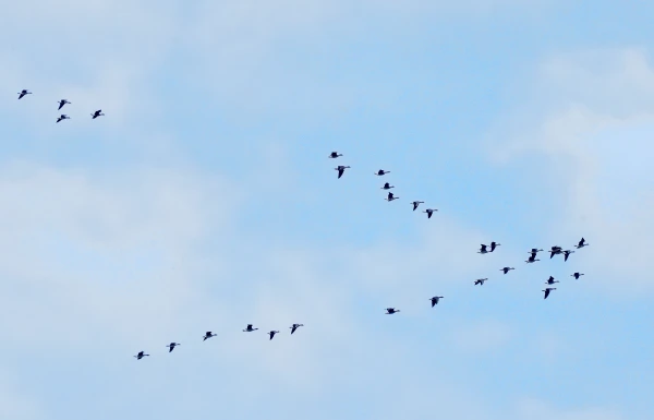 Изображение к статье: Во вторник погоду определяет область повышенного давления