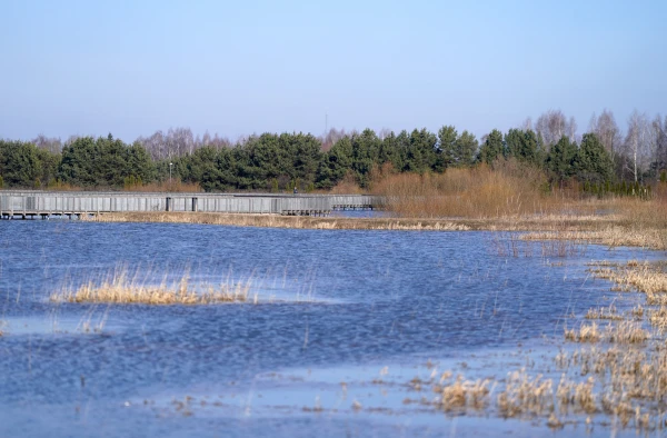 Уровень воды в реках в основном снижается