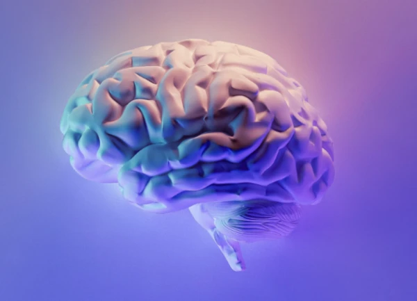 Изображение к статье: Раскрыта неочевидная причина ухудшения работы мозга