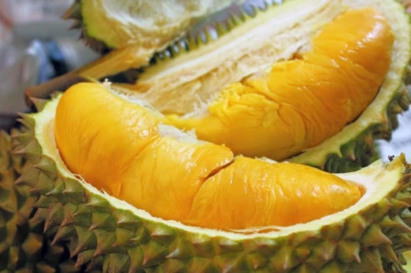 Тропическая экзотика с ароматом гнили: что это за фрукт?