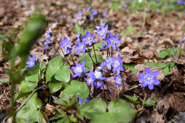 После дождливой недели порадует ли погода на выходных?
