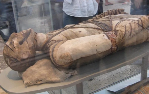 Кто не курит и не пьет, тот здоровеньким помрет.