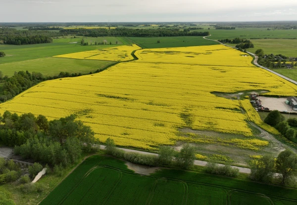 Изображение к статье: Из-за высоких цен на топливо фермеры могут сократить площади или даже ликвидироваться