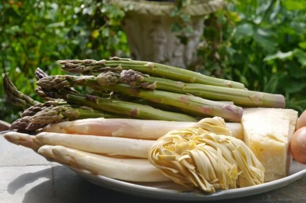 Сезон спаржи сопровождается праздниками.