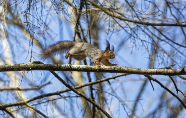 Изображение к статье: В воскресенье ожидается воскресная погода