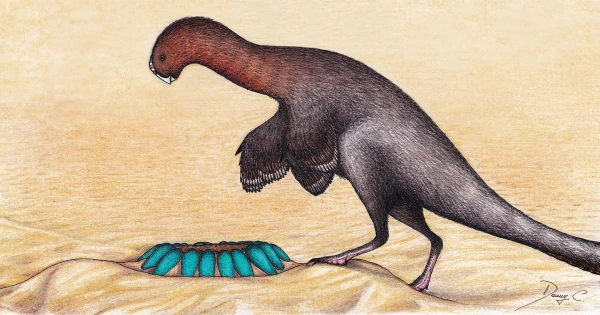 Изображение к статье: Реконструкция заботливого овираптора.