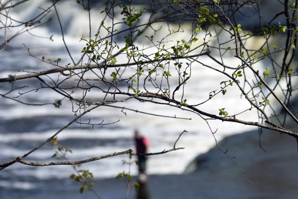 Синоптики озвучили прогноз на новой неделе в Латвии