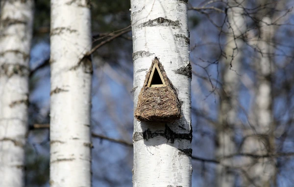Синоптики предупредили о перемене погоды на этой неделе