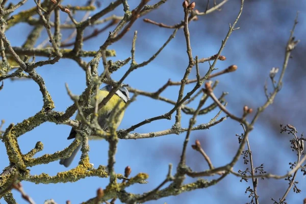 На северо-западе Европы расположен циклон, его влияние усилится и в Латвии