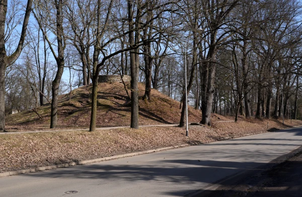 Парк «Малая Аркадия» под угрозой: жители против планов застройки