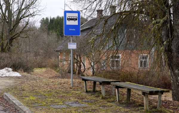 Изображение к статье: Навесы на остановках появятся не везде: почему укрытие остаётся роскошью