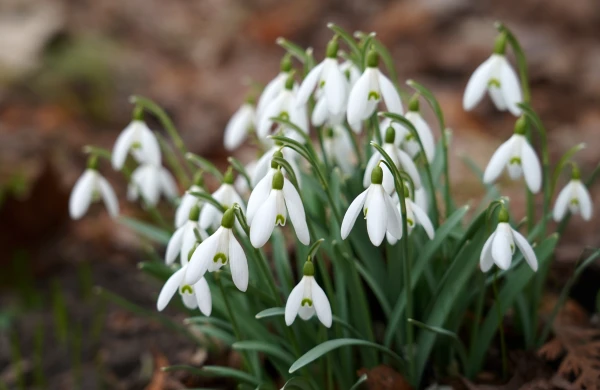 Изображение к статье: В Скандинавии усиливается циклон. Это повлияет и на погоду в Латвии