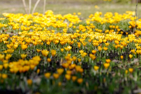 Думали, уже весна? Начало апреля удивит