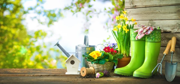 Магия апреля: секреты посева для небывалого урожая