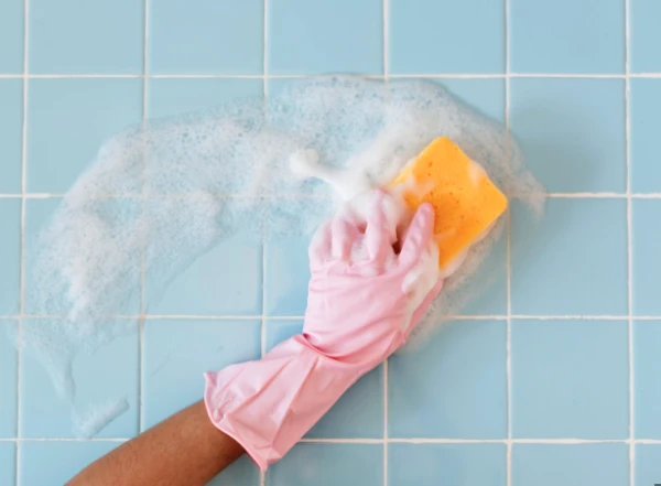 Раскрыт способ борьбы с пылевыми клещами