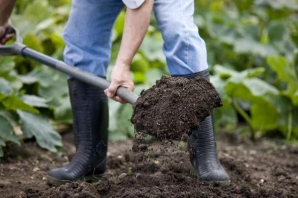 Изображение к статье: Что необходимо сделать дачнику перед началом нового сезона?