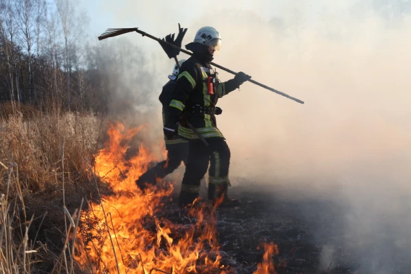 Изображение к статье: Сотни пожаров: сухая трава снова горит по всей стране